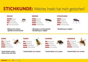 Quellenangabe: "obs/ALK-Abelló Arzneimittel GmbH"