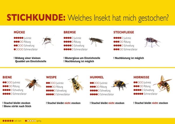 Quellenangabe: "obs/ALK-Abelló Arzneimittel GmbH"